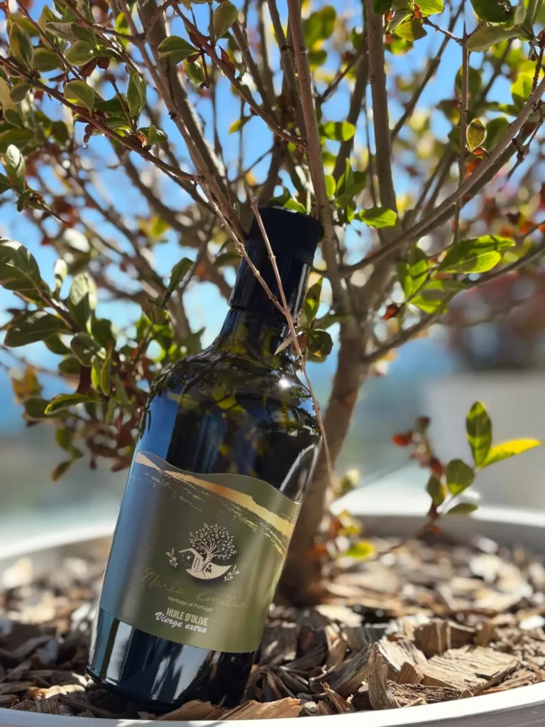 Bouteille d'huile d'olive Maria Emilia